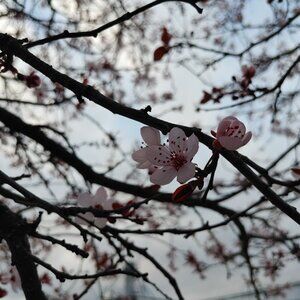 Buying skateboard clothes that fit my sensory challenges. Have a bundle? 🤞